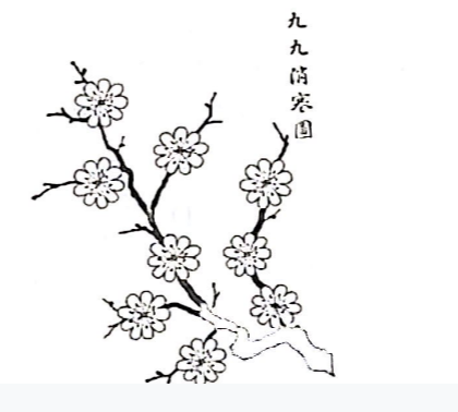 2024年11月24日四川省事业单位考试《公共基础知识》试题（网友回忆版）（题目+解析+答案）(图1)
