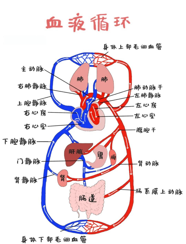2025年4月19日北京市事业单位统考《公共基本能力测验》笔试试题(网友回忆版)(题目+解析+答案)(图16) 2025年4月19日北京市事业单位统考《公共基本能力测验》笔试试题(网友回忆版)(题目+解析+答案)(图16)